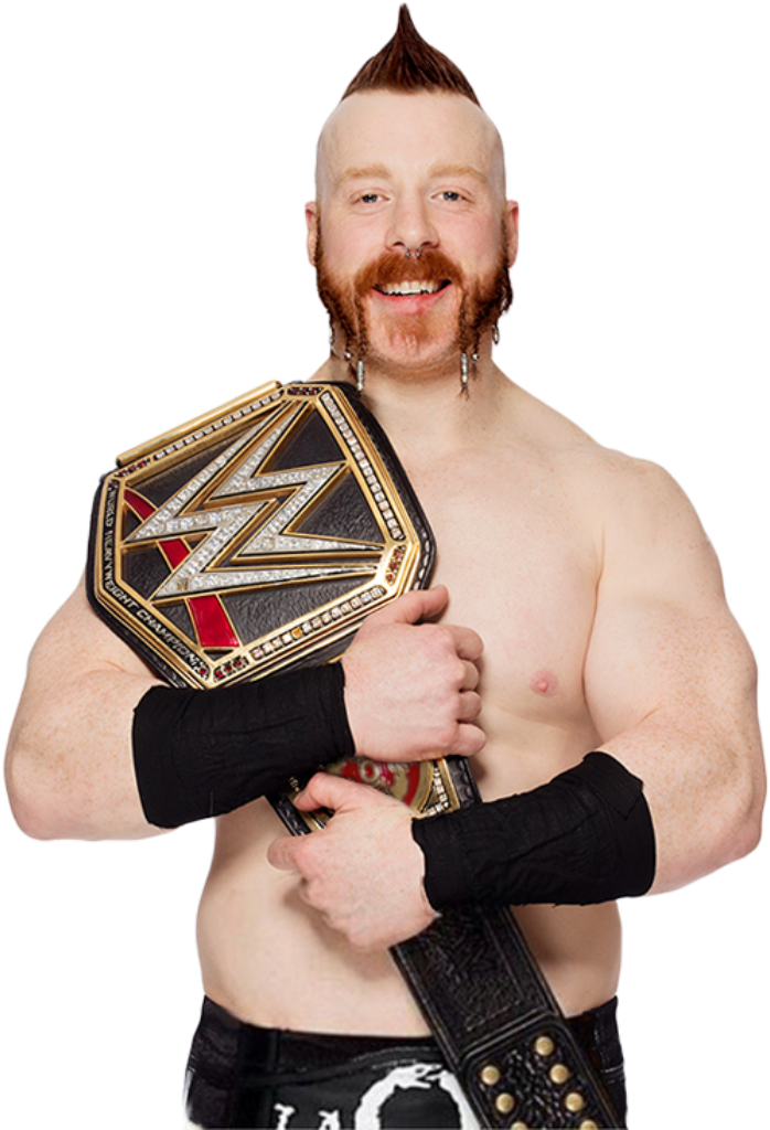 Sheamus Images Sheamus Heavyweight Champion 2015 Hd - Sheamus World Heavyweight Champion 2015 (505x732), Png Download