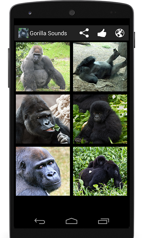Facts About Gorilla A Colorful Picture Book (480x800), Png Download