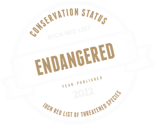 Iucn Red List Of Threatened Species - Am A City Changer (550x455), Png Download