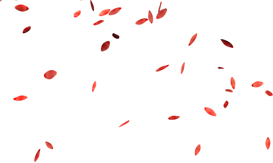 Falling Flower Petals Png - Flower Floating Png (1024x576), Png Download