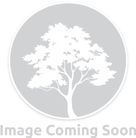 Nike Women's Club Full Zip Hoodie Swoosh Ultraviolet/white - Shoolu.com (600x600), Png Download