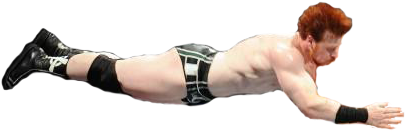 And If Anyone Wants A Sort Of Crappy Pre-cut Sheamus - Press Up (566x445), Png Download