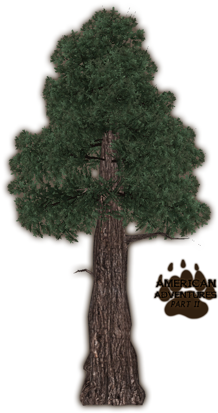 Redwoodcoast Jimmyzhoopz - Coast Red Wood Tree Png (848x848), Png Download