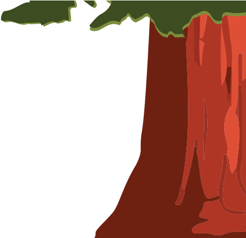 2018 Eureka-humboldt Visitors Bureau - Redwood Tree Cartoon (493x470), Png Download