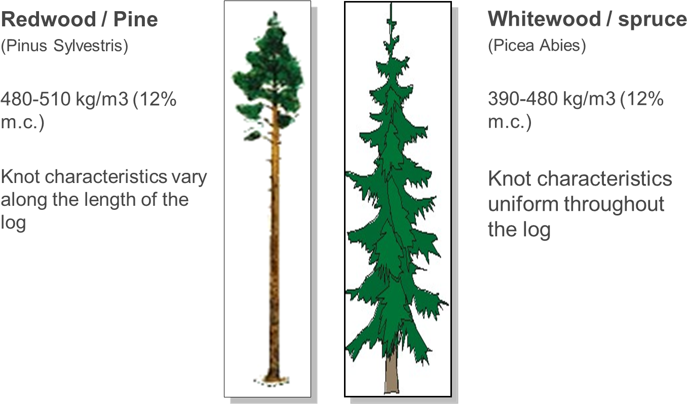 Whitewood V Redwood - Canadian Fir (1415x798), Png Download