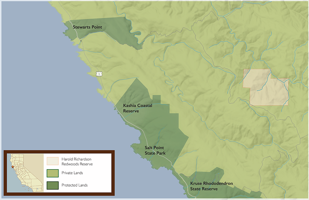 The Small Group Assembled Next To A Rural Two Lane - Harold Richardson Redwoods Preserve (1000x647), Png Download