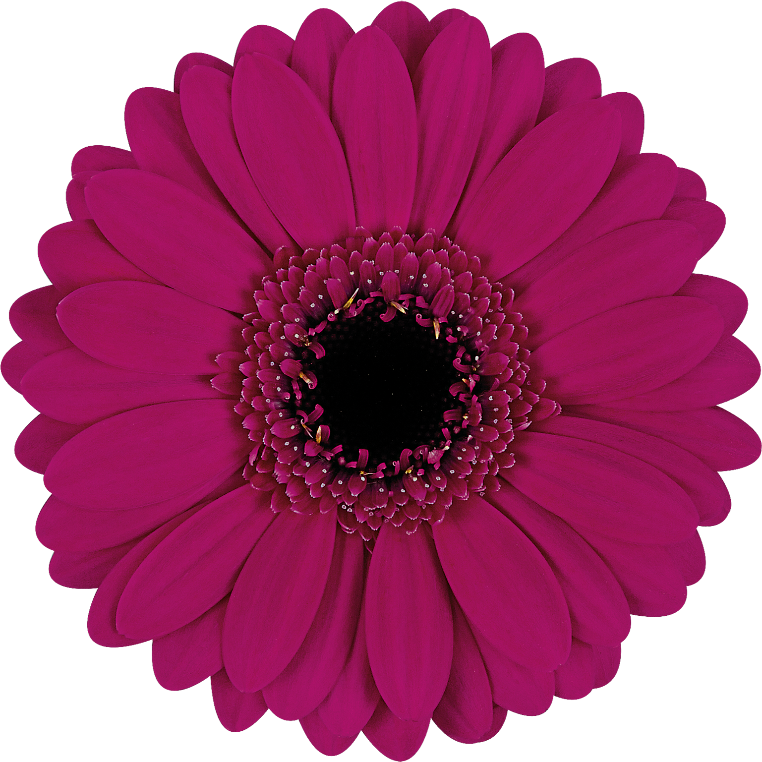 High Resolution Image, Download File - Paper (1772x1772), Png Download