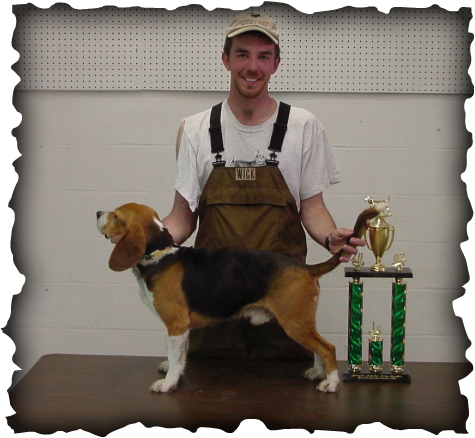 Hof Grch Andy's Cassidy Rambo - Ayungon Nhs (475x438), Png Download