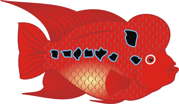 Free Vector Danz Flowerhorn Fish Clip Art - Flower Horn Fish Drawing (600x348), Png Download