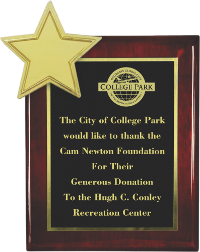 The Recognition Star Plaque - Plaque Award Star (397x500), Png Download