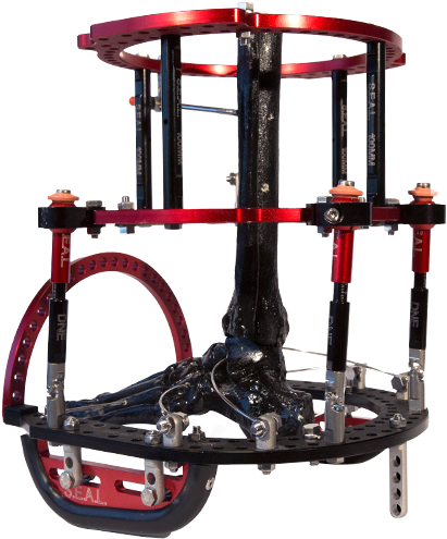 Dne Seal Circular Frame 19 - Party Bike (600x600), Png Download