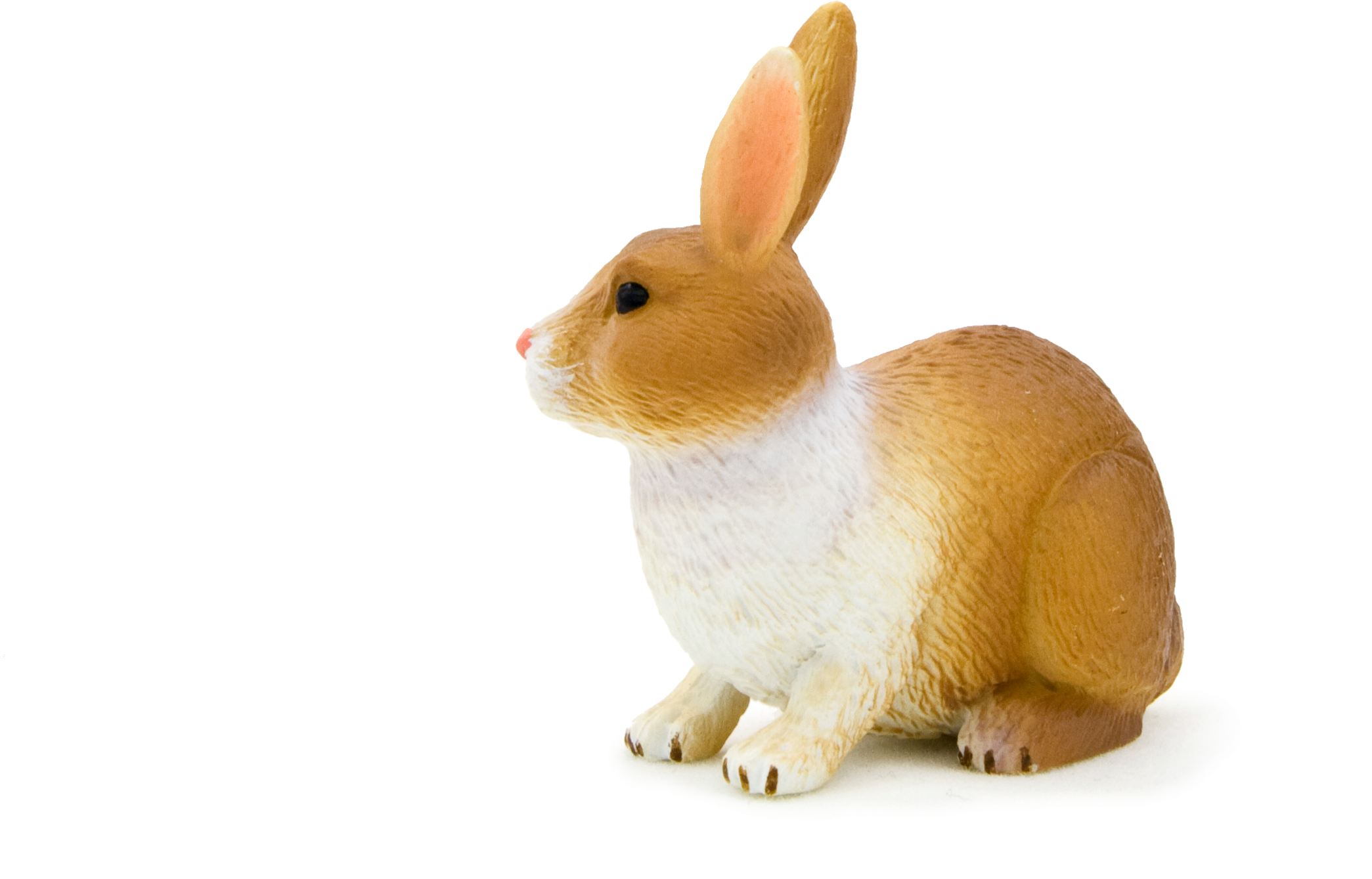 Animal Planet - Rabbit Brown And White (5197x3465), Png Download