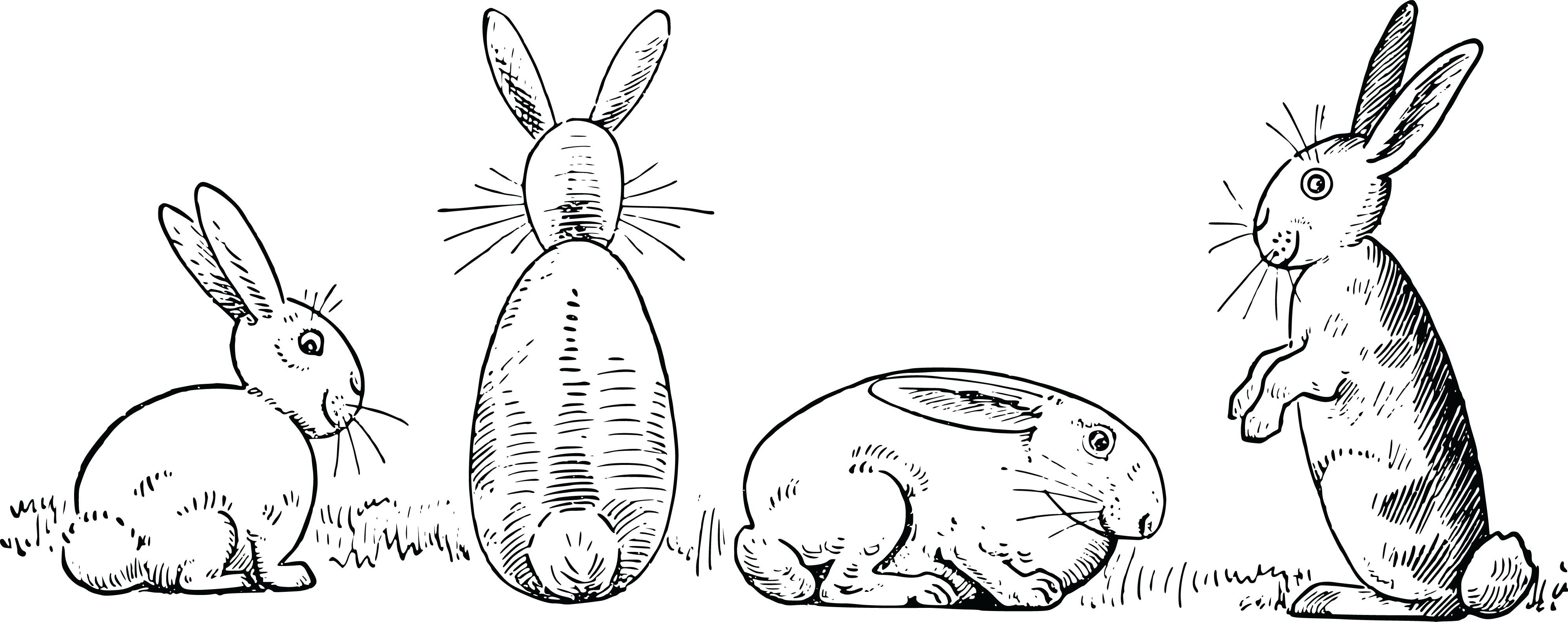 Free Clipart Of Rabbits - Rabbits Clipart Black And White (4000x1588), Png Download