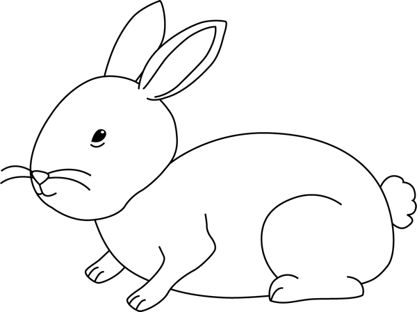 White Rabbit Clipart - Bunny Rabbit Black And White (600x449), Png Download