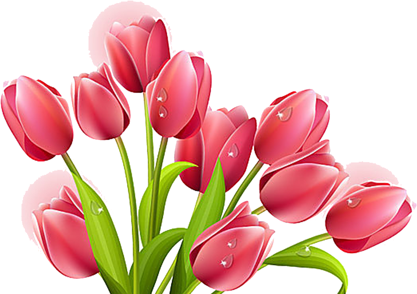 Banner Download Flower Clip Art Transprent Png Free - Tulips Flowers Clip Art (1536x1600), Png Download