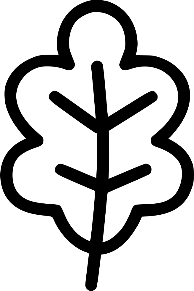 Oak Leaf Leaves Autumn Dry Tree Comments - Sign (654x980), Png Download