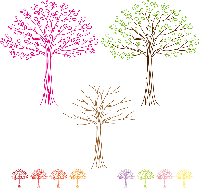 Fall, Summer, Winter, Trees, Maple, Autumn, Forest, - Personalized Tree Of Life Crock - Green (640x605), Png Download