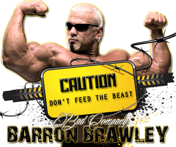 I'd Love To See That Bam Bam/elgin Match And The Young - Wake Up Project (600x500), Png Download