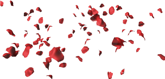 Falling Rose Petals Png Download - Loves Me Not, Loves Me (529x278), Png Download
