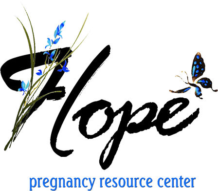 Information About Abortion And Alternatives To Abortion - Abortion (448x391), Png Download