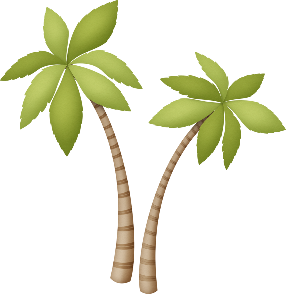 Trees Png Explore Beach - Clip Art (999x1024), Png Download