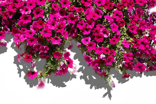 Share This Image - الحمد لله مل السماوات و الارض (500x335), Png Download