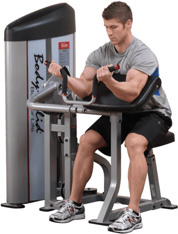 Machine Bicep Curl - Body-solid Series Ii Arm Curl Machine (501x501), Png Download