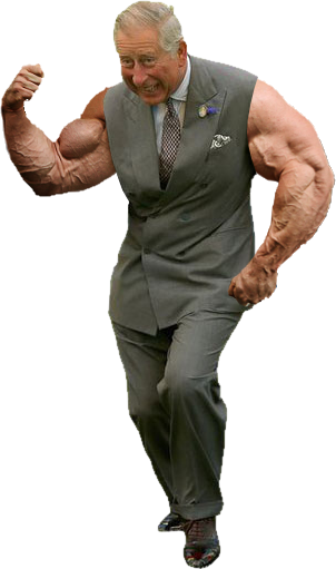 Long Live Bicep Charles - Angry Person In Wheelchair (302x511), Png Download