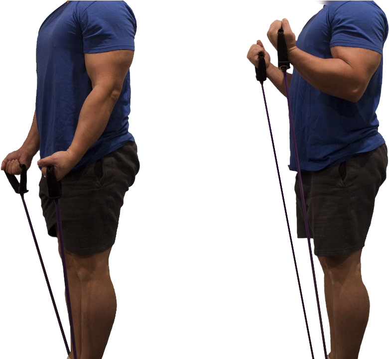 Standing Bicep Curls Standing Bicep Girls Forces You - Resistance Band (1200x720), Png Download