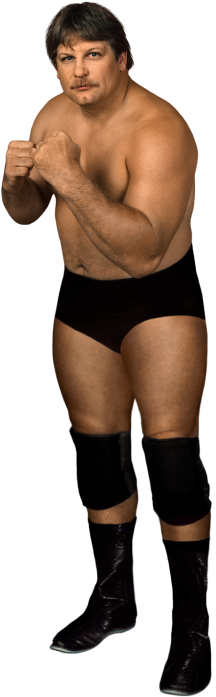 Stan Hansen - Stan Hansen Wwe 2k17 (320x728), Png Download