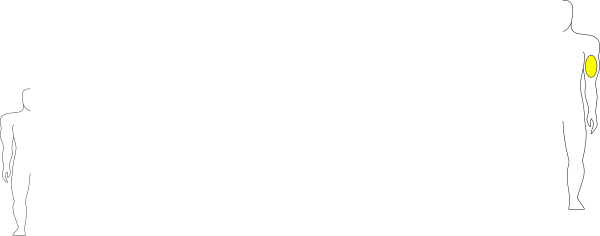 Small - Shirt (600x236), Png Download