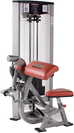 Pro Maxima Raptor Bicep Curl P-3000 (412x533), Png Download