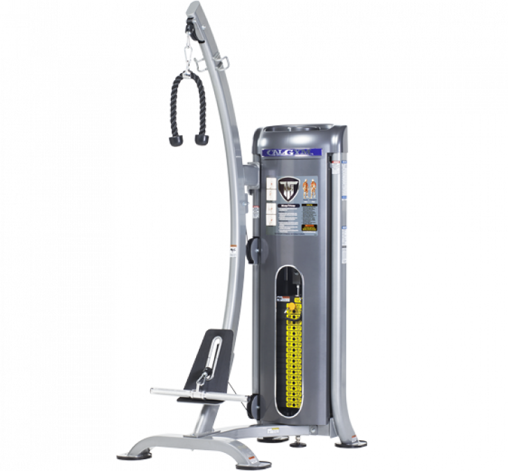 Picture Of Bicep / Triceps Cg-9506 - Cg 9506 (728x676), Png Download