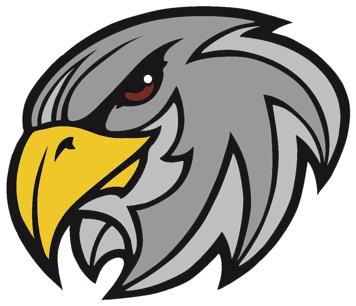 Yeshivah Of Flatbush Falcons - Air Force United Fc (1377x1097), Png Download