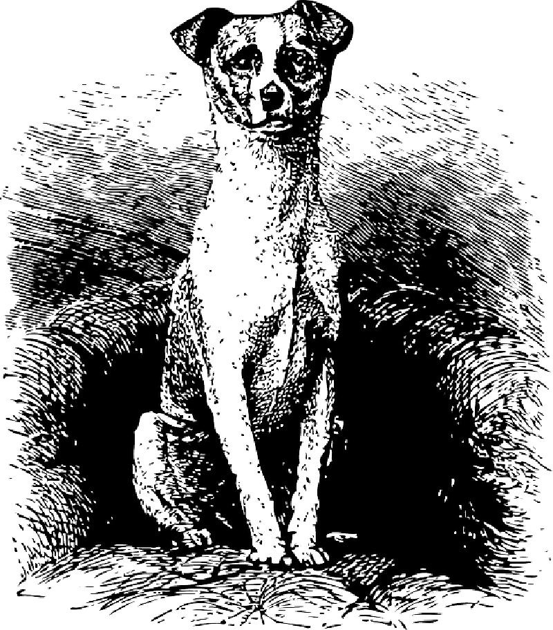 Mb Image/png - Clip Art (800x912), Png Download
