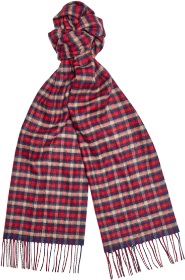 Cashmere Club Check Scarf - Kerbl 377024 Solarmodul 4w Incl. Halter Für 9v Geräte (460x611), Png Download