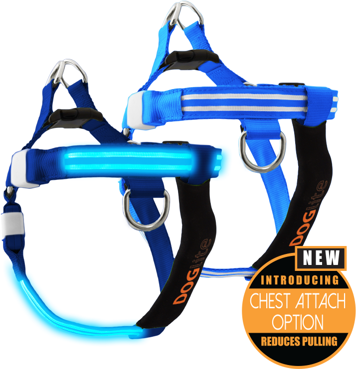 Double Trouble Led Dog Harness - Pet Harness (770x771), Png Download