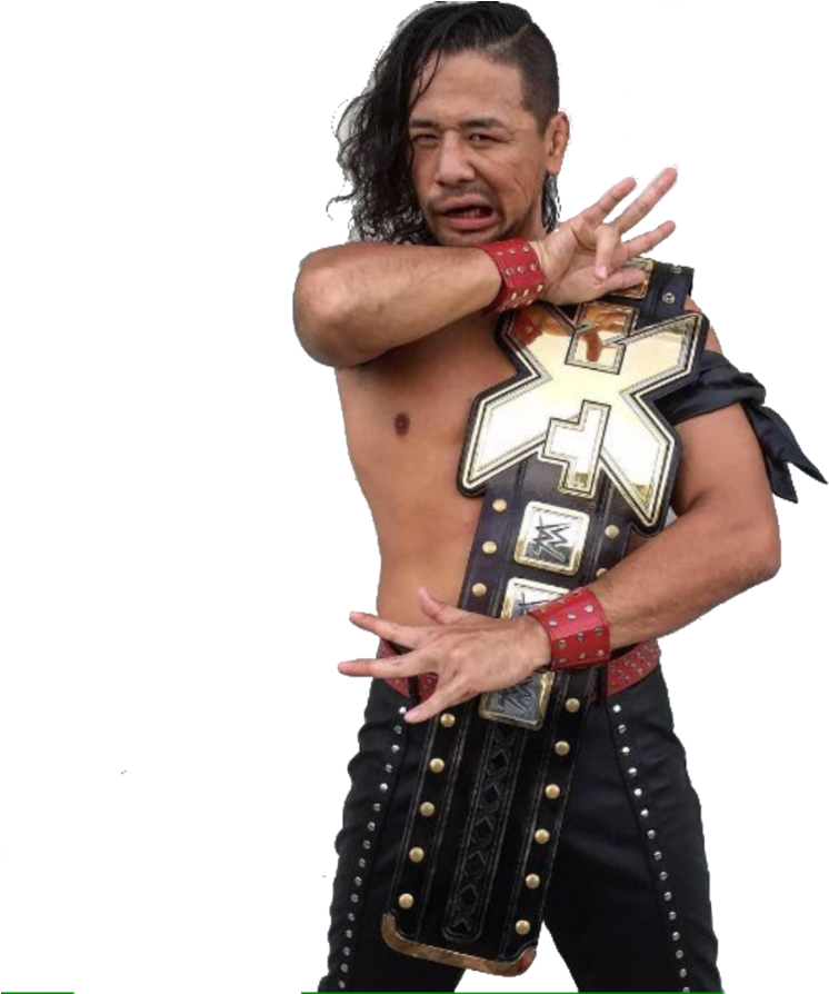 Shinsuke Nakamura Png Pic - Shinsuke Nakamura Png 2016 (894x893), Png Download