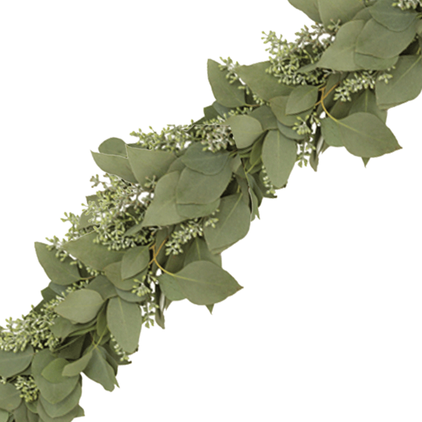 Eucalyptus Garland Transparent (600x600), Png Download
