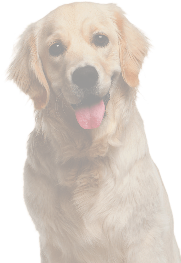 Pete And Mac's - Silence Is Golden By Shannon Esposito (710x959), Png Download