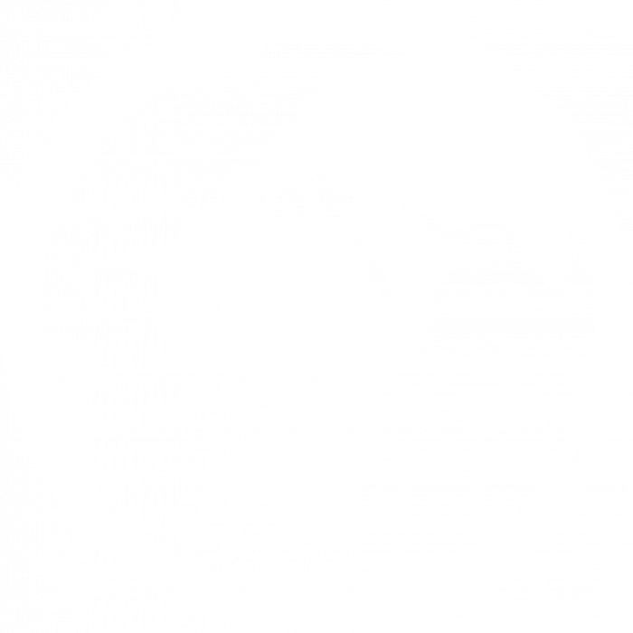 Globe Africa White Icon Ppt Utz Certified Cacao Full Size Png Download Seekpng