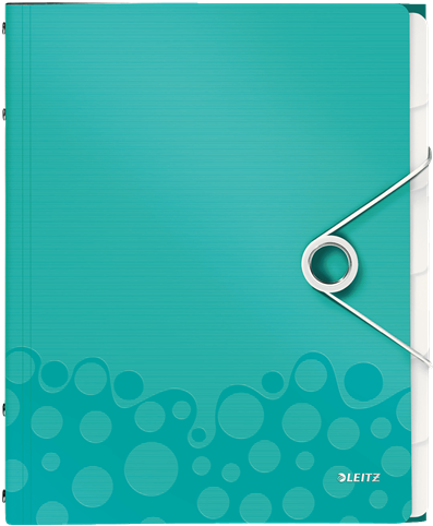 Divider Book Leitz Wow Pp 6 Tabs - Leitz Teczka Segregująca 6 Przekładek Pp Wow, Różowy (440x586), Png Download