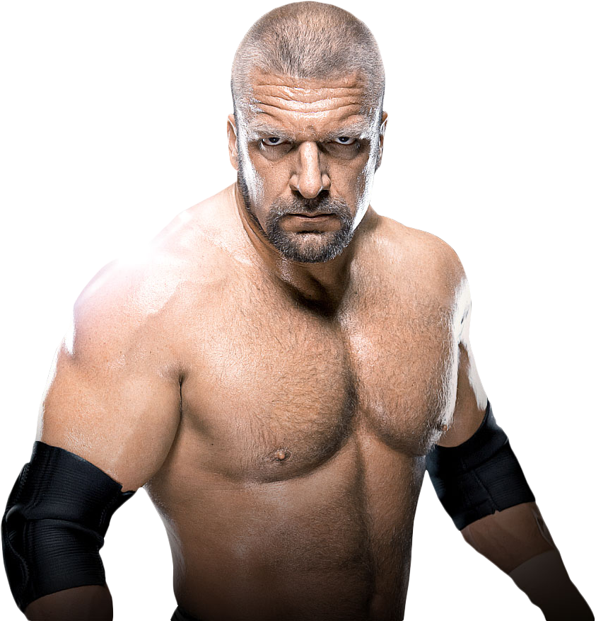 Triple H Png Download Image - Wwe 2014 Annual Dvd (843x877), Png Download