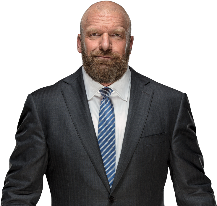 Triple H Pro - Wwe Triple H 2015 (1000x707), Png Download