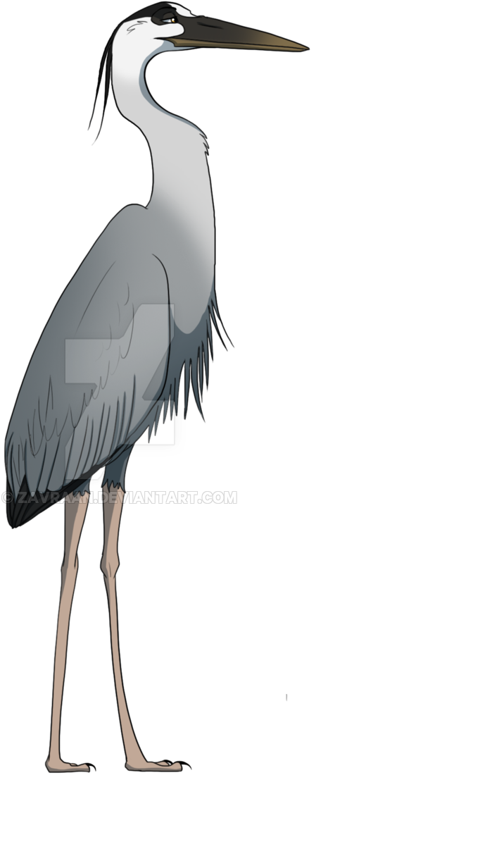 Image Library Download Blue By Zavraan On Deviantart - Blue Heron Png (1024x1298), Png Download