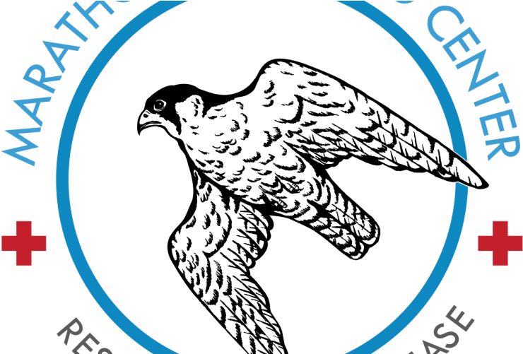 The Marathon Wild Bird Center Is Located On The Northern - Samsung Galaxy J4 (800x500), Png Download