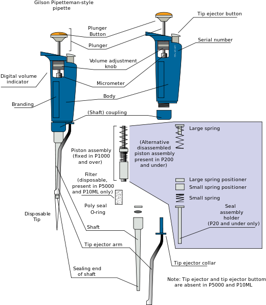Operation[edit] - Partes De Las Micropipetas (600x636), Png Download