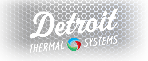 Detroit Thermal Systems - Detroit Thermal Systems Logo (600x250), Png Download