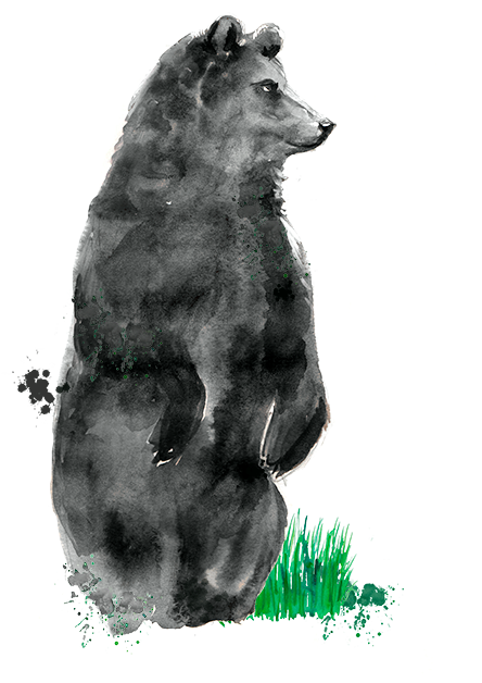 Contact Us - Illustration (500x650), Png Download