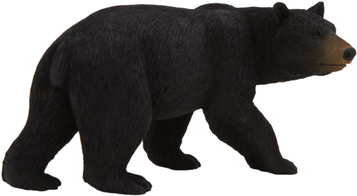 American Black Bear - Animal Planet: American Black Bear (540x360), Png Download